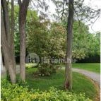 Liget Wellness & Konferencia Hotel Szarvas - Egyéb