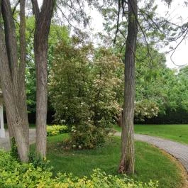 Liget Wellness & Konferencia Hotel , Szarvas - Egyéb