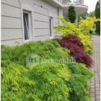 Liget Wellness & Konferencia Hotel Szarvas - Egyéb