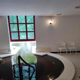 Liget Wellness & Konferencia Hotel , Szarvas - Egyéb