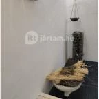 Liget Wellness & Konferencia Hotel Szarvas - Egyéb