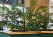 Lipóti Pékség és Kávézó - ETO Park Győr