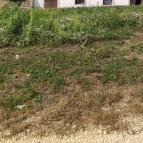 Love by Milov - Szeretet szobor Vál - Egyéb