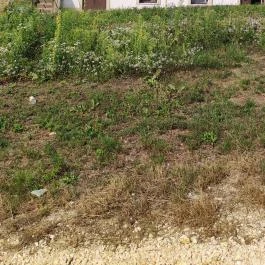 Love by Milov - Szeretet szobor Vál - Egyéb