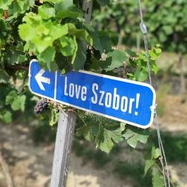 Love by Milov - Szeretet szobor Vál - Egyéb