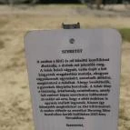 Love by Milov - Szeretet szobor Vál - Egyéb