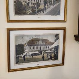 Mackó Cukrászda és Snack Veszprém - Egyéb