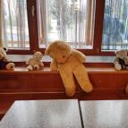 Mackó Cukrászda és Snack Veszprém - Egyéb