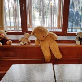 Mackó Cukrászda és Snack Veszprém - Egyéb