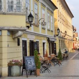 Mackó Kuckó, Győr - Egyéb