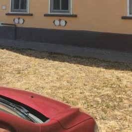 Király Vendéglő, Békéscsaba - Egyéb