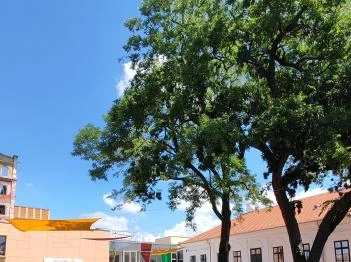 Munkácsy-negyed Békéscsaba