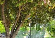 Nekem a Balaton - Nánásiék Balatonakarattya