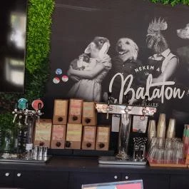 Nekem a Balaton - Nánásiék Balatonakarattya - Egyéb