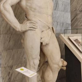 Országos Széchenyi Könyvtár, Budapest - Egyéb