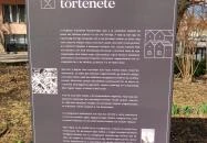 Országzászló tér Székesfehérvár