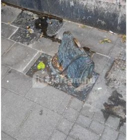 Pál utcai fiúk szobra