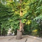 Park Étterem Eger - Egyéb