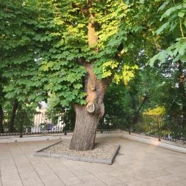 Park Étterem, Eger - Egyéb