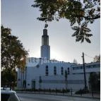 Pasaréti Ferences templom Budapest - Egyéb