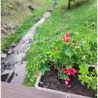 Patak Park Hotel Visegrád - Egyéb