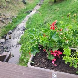 Patak Park Hotel Visegrád - Egyéb