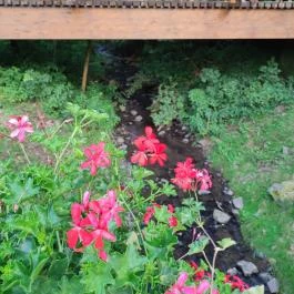 Patak Park Hotel Visegrád - Egyéb