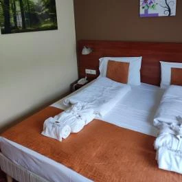 Patak Park Hotel Visegrád - Egyéb