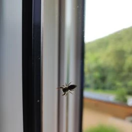 Patak Park Hotel Visegrád - Egyéb