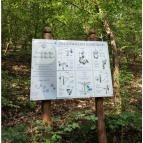 Patak Park Hotel Visegrád - Egyéb