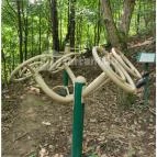 Patak Park Hotel Visegrád - Egyéb