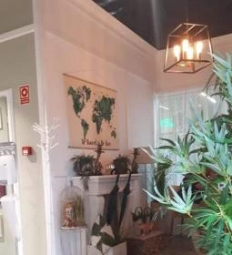 Pataki Cuki - Hegyvidék