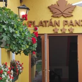 Platán Panzió, Dobogókő - Egyéb