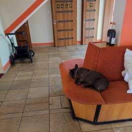 Platán Panzió, Dobogókő - Egyéb