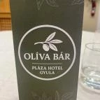 Pláza Hotel Gyula Gyula - Egyéb