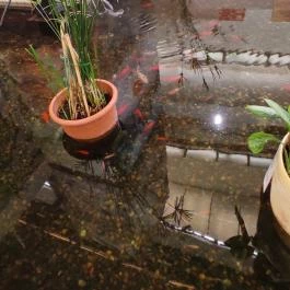 Portobello Wellness & Yacht Hotel Esztergom, Esztergom - Egyéb