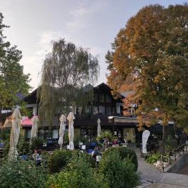 Radó-sziget Győr, Győr - Egyéb