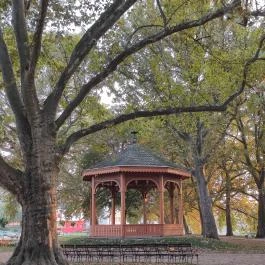 Radó-sziget Győr, Győr - Egyéb