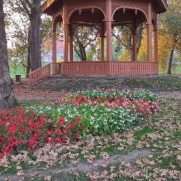 Radó-sziget Győr, Győr - Egyéb