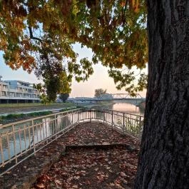 Radó-sziget Győr, Győr - Egyéb