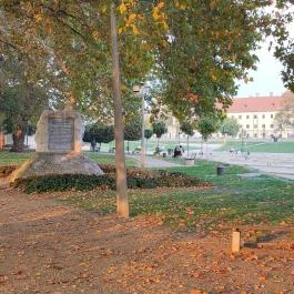 Radó-sziget Győr, Győr - Egyéb