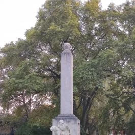 Radó-sziget Győr, Győr - Egyéb