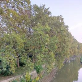 Radó-sziget Győr, Győr - Egyéb