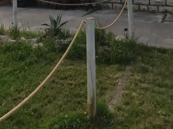 Random Bagel Bar Örvényes