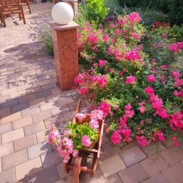 Rigoletto Cukrászda Visegrád - Egyéb