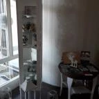 Romantika Panzió Gyula - Egyéb