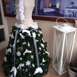 Romantika Panzió Gyula - Egyéb