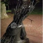 Rőzsehordó nő-szobor Békéscsaba - Egyéb