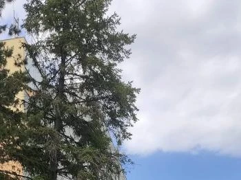 Soproni Erzsébet Oktató Kórház és Rehabilitációs Intézet - Balfi Gyógyfürdőkórház Sopron