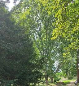 Soproni Erzsébet Oktató Kórház és Rehabilitációs Intézet - Balfi Gyógyfürdőkórház